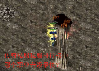 传奇私服私服排行榜中哪个职业升级最快? 传奇私服私服排行榜中哪个职业升级最快?