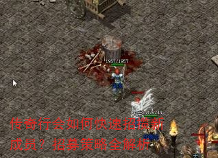 传奇行会如何快速招揽新成员?招募策略全解析 传奇行会如何快速招揽新成员?招募策略全解析