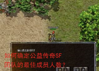如何确定公益传奇SF团队的最佳成员人数? 如何确定公益传奇SF团队的最佳成员人数?