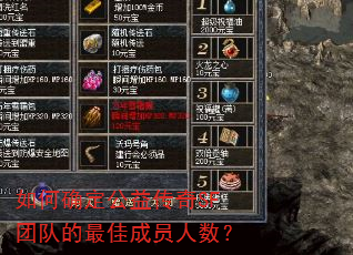 如何确定公益传奇SF团队的最佳成员人数? 如何确定公益传奇SF团队的最佳成员人数?