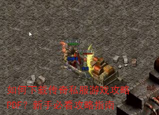 ������ش���˽����Ϸ����PDF�����ֱؿ�����ָ��