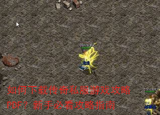 ������ش���˽����Ϸ����PDF�����ֱؿ�����ָ��