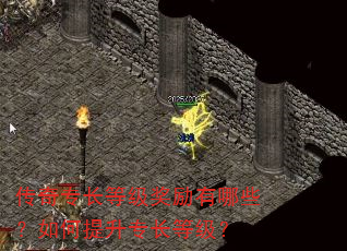 传奇专长等级奖励有哪些?如何提升专长等级? 传奇专长等级奖励有哪些?如何提升专长等级?