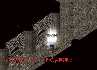 ����þ�����������������