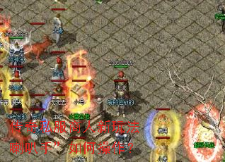 ����˽���������淨�����֡���β�����