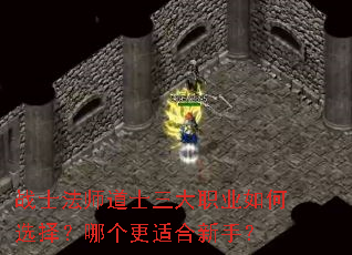 սʿ��ʦ��ʿ����ְҵ���ѡ���ĸ����ʺ����֣�