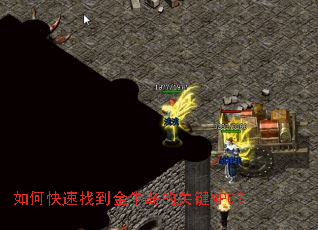 ��ο����ҵ���ţ���Ĺؼ�NPC��