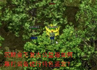 ��Ĭ��Ҹ��Ź������ο���װ��������ɫ������