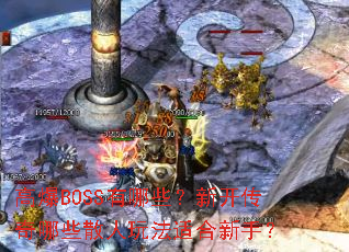 �߱�BOSS����Щ���¿�������Щɢ���淨�ʺ����֣�