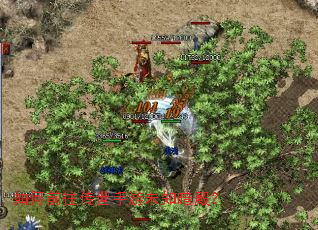 ���ǰ����������δ֪���