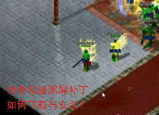 ����˽������������������밲װ��