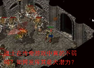 ��ʿ�ڴ�����Ϸ����Ĳ�������η��������Ǳ����