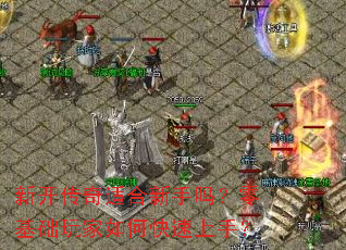 �¿������ʺ�����������������ο������֣�