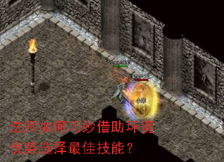 ��ʦ������������������ѡ����Ѽ��ܣ�