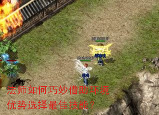 ��ʦ������������������ѡ����Ѽ��ܣ�