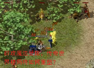 Ⱥ��ħ�����ޣ����������ֽ�������ܣ�