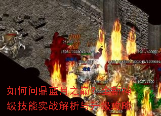 ����ʶ�����֮�ۣ�ȫ���񼶼���ʵս��������������