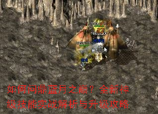 ����ʶ�����֮�ۣ�ȫ���񼶼���ʵս��������������