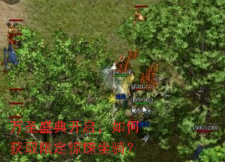 ��ʥʢ�俪������λ�ȡ�޶�������