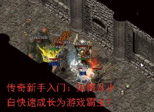 �����������ţ���δ�С�׿��ٳɳ�Ϊ��Ϸ������