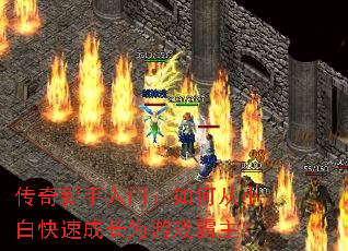 �����������ţ���δ�С�׿��ٳɳ�Ϊ��Ϸ������