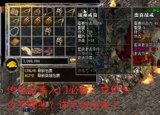 �����������űر���������������Щ���꾡ָ������