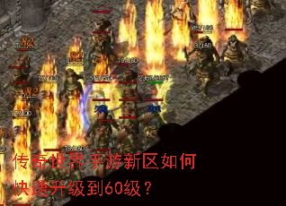 ������������������ο���������60����