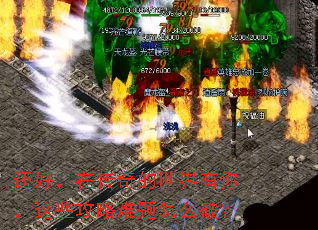 ���ã��ڴ�����������㣬��Щ����������ô�ƣ�