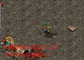 ��ο��ٺϳ����½��������е�ϡ���ʻ���