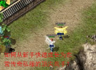 ��δ����ֿ��ٳɳ�Ϊ��Ӫ����˽���Ķ�����֣�