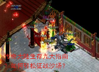 �����½����Ŵ�ָ�ϣ����������սɳ����