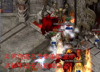 ��ο����ڴ��浥ְҵ�д����ֳɳ�Ϊ�۷�ǿ�ߣ�