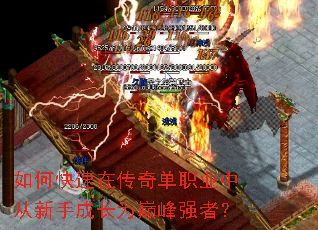 ��ο����ڴ��浥ְҵ�д����ֳɳ�Ϊ�۷�ǿ�ߣ�