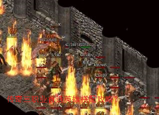 ������ְҵ��ѡӢ�۴��乥�ԣ�