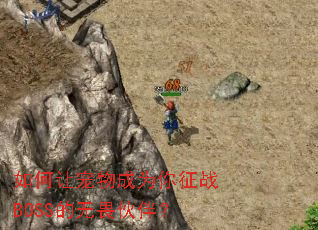 ����ó����Ϊ����սBOSS����η��飿