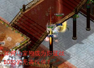 ����ó����Ϊ����սBOSS����η��飿