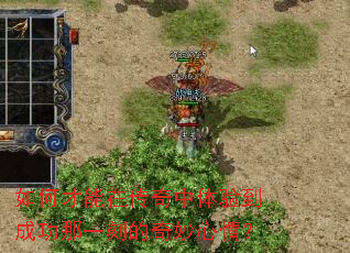 ��β����ڴ��������鵽�ɹ���һ�̵��������飿