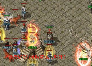 ������NPC�������ս�������