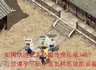 ��ο���������Ѫ����˽��345���ٱ����������ָ�������Чˢװ����