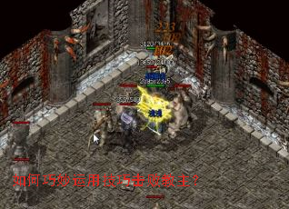 ����������ü��ɻ��ܽ�����