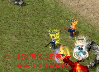 �Ҳ���ӵ�����������ã�������Ϸ����ȫ����