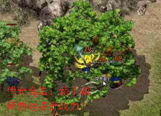 ����ϻ���������ο�������ս����