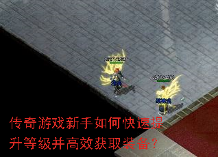 ������Ϸ������ο��������ȼ�����Ч��ȡװ����