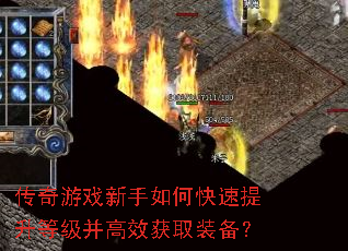 ������Ϸ������ο��������ȼ�����Ч��ȡװ����