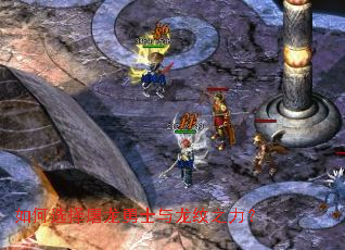 ���ѡ��������ʿ������֮����