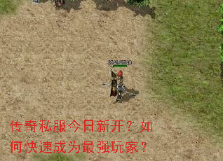 ����˽�������¿�����ο��ٳ�Ϊ��ǿ��ң�