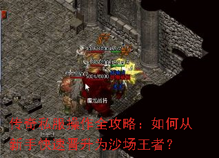 ����˽������ȫ���ԣ���δ����ֿ��ٽ���Ϊɳ�����ߣ�