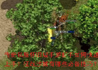 ����˽�����ɰ�����������ο������֣���սɳ������Щ�ر����ɣ�