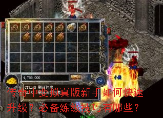 �����б������������ο����������ر�������������Щ��