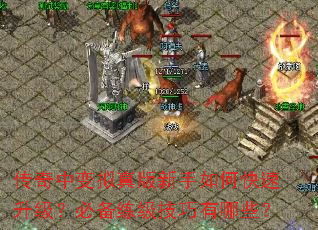 �����б������������ο����������ر�������������Щ��